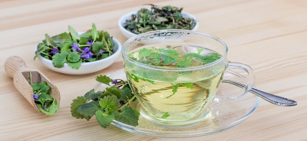 Ziołowa uczta dla witalności, czyli adaptogeny