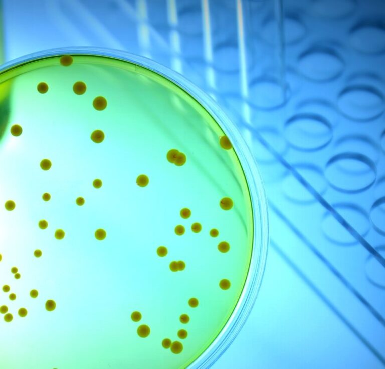 Test wydechowy wodorowo metanowy SIBO, IMO