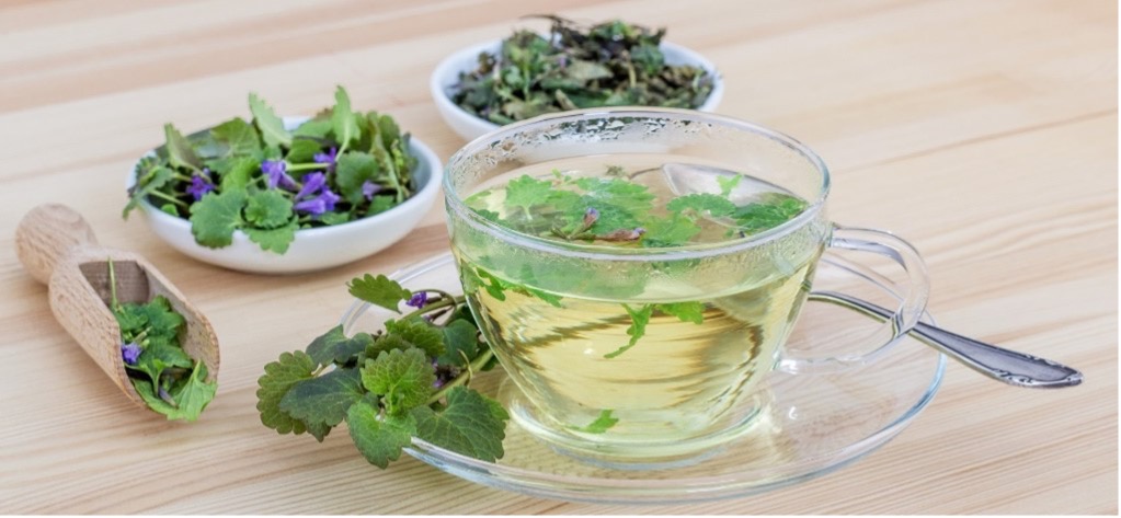 Ziołowa uczta dla witalności, czyli adaptogeny